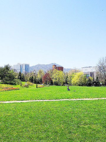 中島公園