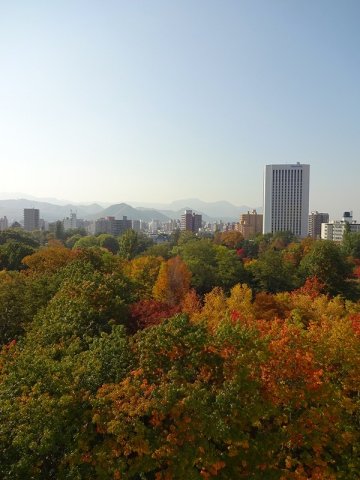 室内からの眺望